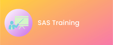 SAS Certification Training